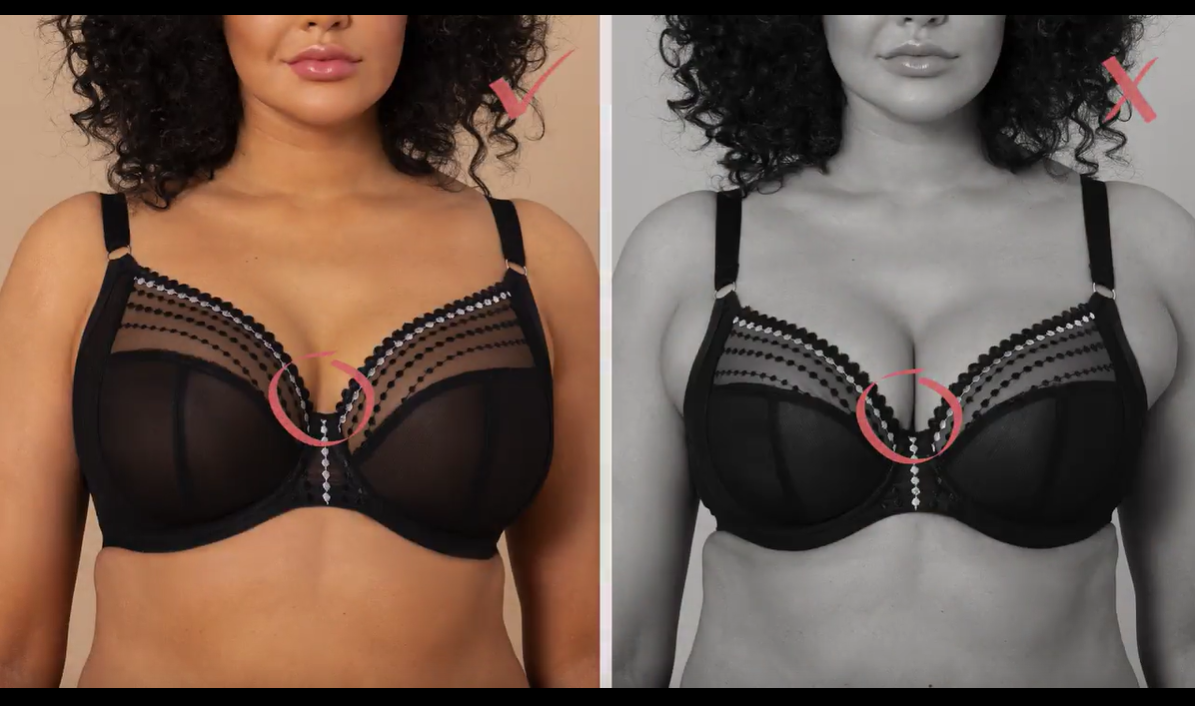 How should a bra fit?