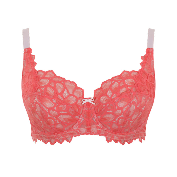 Allure full cup Fashion - Panache - allure-full-cup-fashion - The Pencil Test - Panache