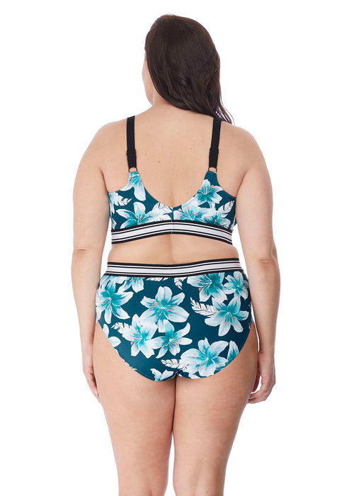 Island Lily swim - Elomi Swim - island-lily-swim - The Pencil Test - Elomi Swim