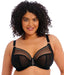 Matilda - Elomi - matilda-uw-plunge-bra - The Pencil Test - Elomi