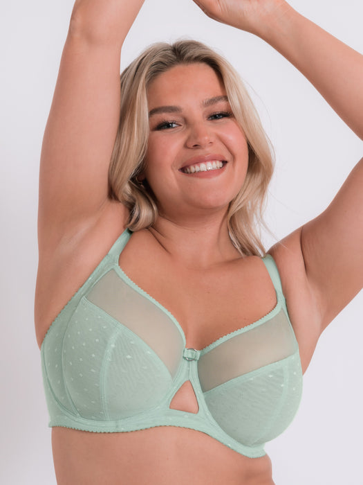 Victory polka - Curvy Kate - victory-polka - The Pencil Test - Curvy Kate