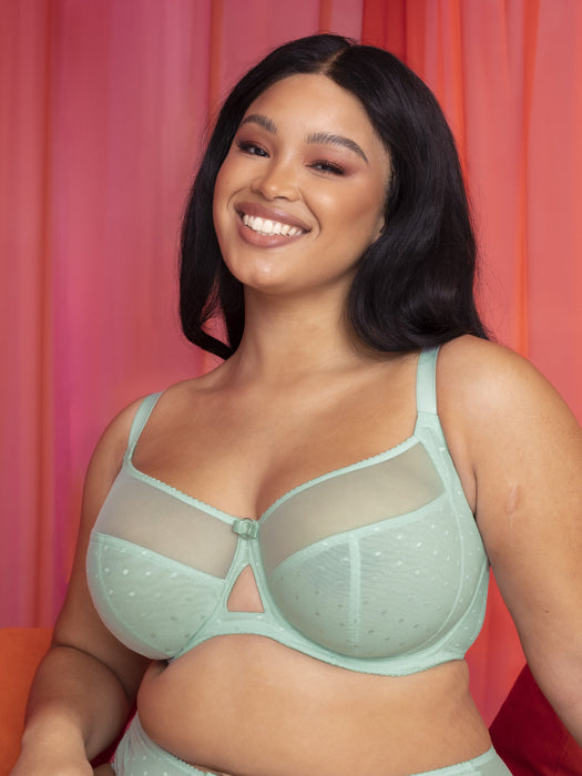 Victory polka - Curvy Kate - victory-polka - The Pencil Test - Curvy Kate